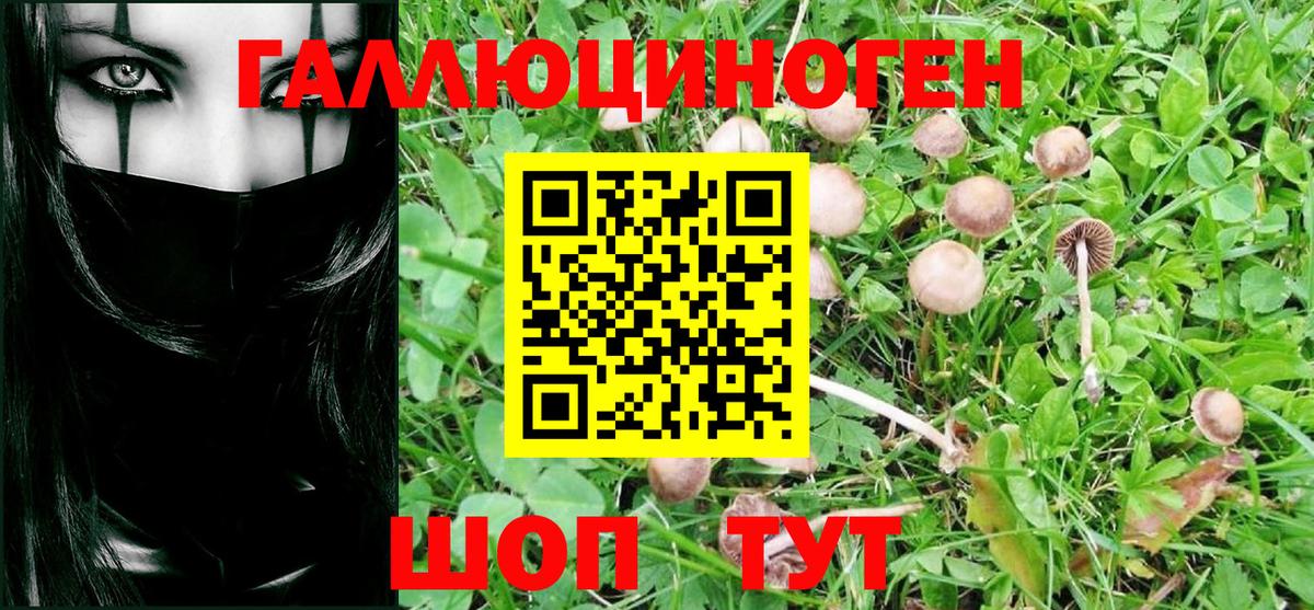 Беслан  Псилоцибиновые грибы MAGIC MUSHROOMS  Галлюциногенные грибы мухоморы  Вход с VPN 