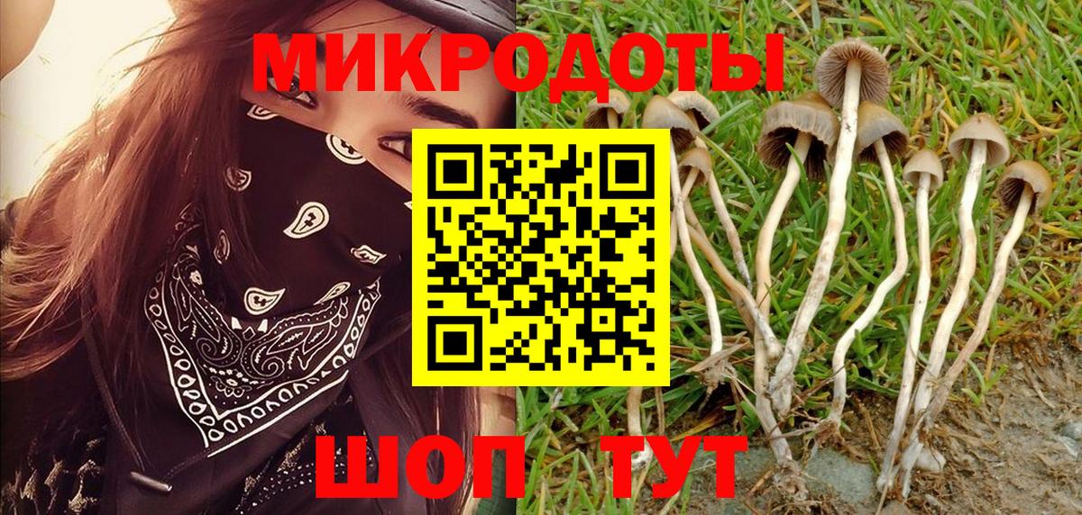 Галлюциногенные грибы Cubensis Беслан